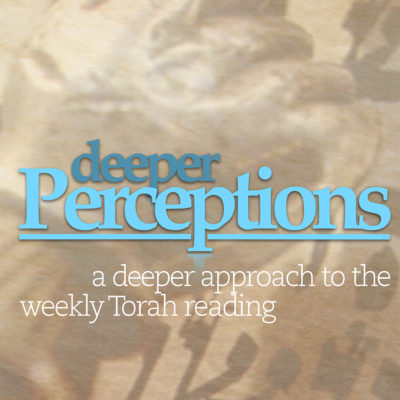 Deeper Perceptions by Rabbi Pinchas Winston book cover
