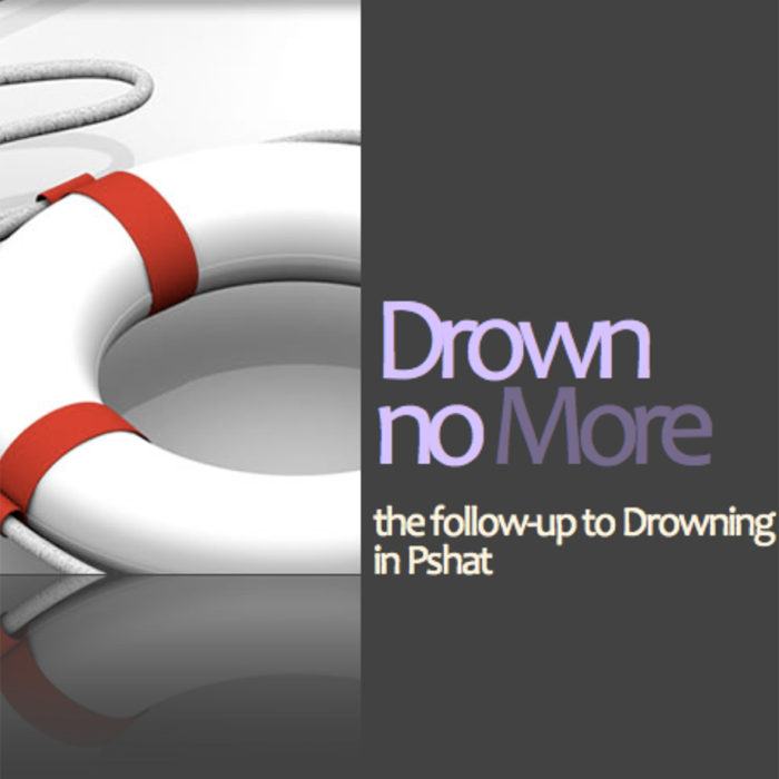 Drown No More by Rabbi Pinchas Winston book cover