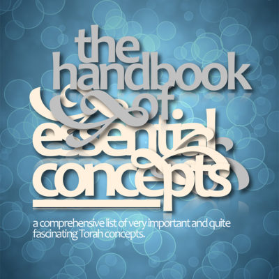 The Handbook of Essential Concepts book cover