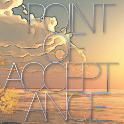 Point of Acceptance book cover