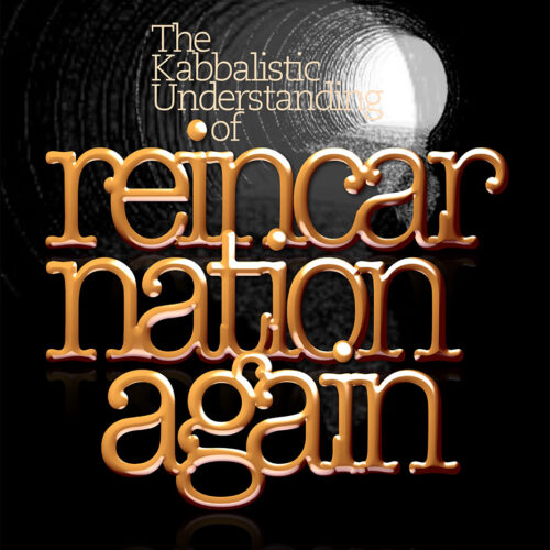REINCARNATION AGAIN book cover