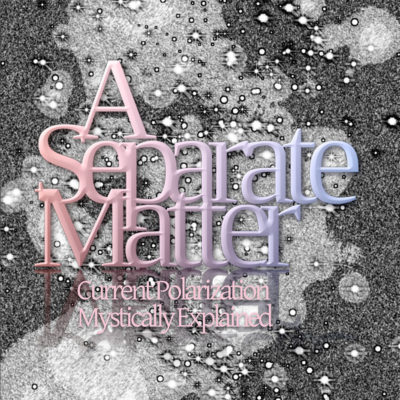 A Separate Matter by Rabbi Pinchas Winston book cover